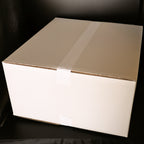 【業務用】美河フランク　生　100本入り